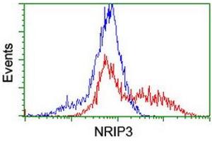 HEK293T cells transfected with either RC202937 overexpress plasmid (Red) or empty vector control plasmid (Blue) were immunostained by anti-NRIP3 antibody (ABIN2455893), and then analyzed by flow cytometry. (NRIP3 抗体)