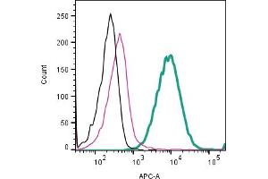 Cell surface detection of Cav1.