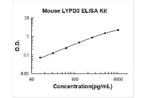 LY6/PLAUR Domain Containing 3 (LYPD3) ELISA Kit