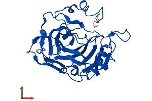 Protein Structure (PS) image for Carbonic Anhydrase VII (CA7) (AA 1-264) protein (His tag) (ABIN7552832)