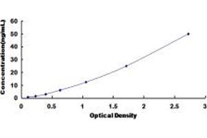 Typical standard curve (PKC alpha ELISA 试剂盒)