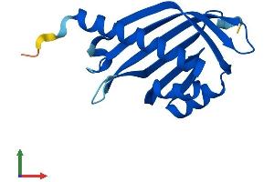 Protein Structure (PS) image for Nuclear Transport Factor 2-Like Export Factor 2 (NXT2) (AA 1-142) protein (His tag) (ABIN7550198)