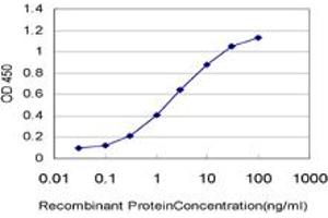 Detection limit for recombinant GST tagged MAP4K4 is approximately 0. (MAP4K4 抗体  (AA 611-710))