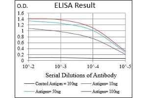 Black line: Control Antigen (100 ng), Purple line: Antigen(10 ng), Blue line: Antigen (50 ng), Red line: Antigen (100 ng), (FSHB 抗体  (AA 19-129))