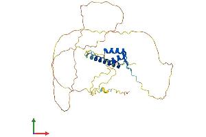 Protein Structure (PS) image for NK3 Homeobox 2 (NKX3-2) (AA 1-333) protein (His tag) (ABIN7556820)