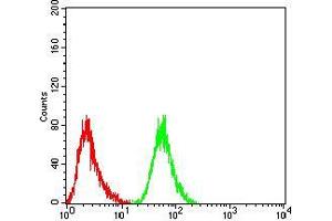 Flow cytometric analysis of HepG2 cells using RF1 mouse mAb (green) and negative control (red). (MTRF1 抗体  (AA 288-437))