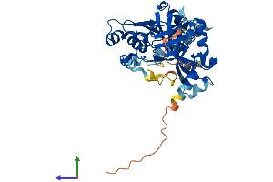 Protein Structure (PS) image for Arsenic (+3 Oxidation State) Methyltransferase (AS3MT) (AA 1-375) protein (His tag) (ABIN7552392)