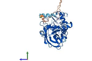Protein Structure (PS) image for Protein Arginine Methyltransferase 6 (PRMT6) (AA 1-378) protein (His tag) (ABIN7564068)