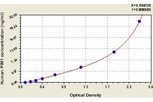 Typical Standard Curve (PIM1 ELISA 试剂盒)