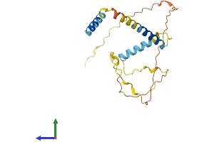 Protein Structure (PS) image for BCL2-Like 11 (Apoptosis Facilitator) (BCL2L11) (AA 1-198) protein (His tag) (ABIN7552545)