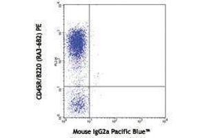 Flow Cytometry (FACS) image for anti-SLAM Family Member 6 (SLAMF6) antibody (Pacific Blue) (ABIN2662362) (SLAMF6 抗体  (Pacific Blue))