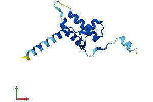 Protein Structure (PS) image for CDKN2A Interacting Protein N-Terminal Like (CDKN2AIPNL) (AA 1-116) protein (His tag) (ABIN7560895)