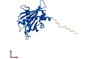 Protein Structure (PS) image for StAR-Related Lipid Transfer (START) Domain Containing 6 (STARD6) (AA 1-220) protein (His tag) (ABIN7546369)