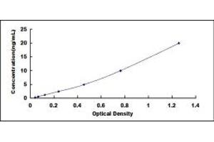 Typical standard curve (NPR1 ELISA 试剂盒)