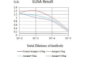 Black line: Control Antigen (100 ng),Purple line: Antigen (10 ng), Blue line: Antigen (50 ng), Red line:Antigen (100 ng) (LAIR2 抗体  (AA 22-152))