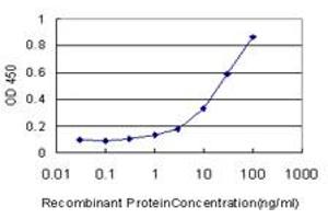 ELISA image for anti-Nuclear Receptor Subfamily 1, Group D, Member 1 (NR1D1) (AA 1-614) antibody (ABIN564127)