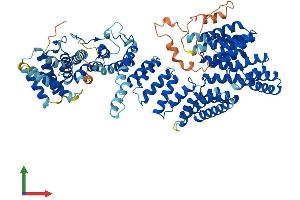 AlphaFold protein structure predicition of Human Recombinant TTC7B Protein, UniprotID Q86TV6