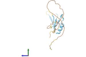 Protein Structure (PS) image for RNA Binding Motif Protein 3 (RBM3) (AA 1-153) protein (His tag) (ABIN7562709)