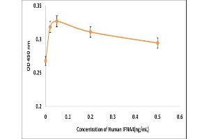 Activity Assay (AcA) image for Interferon, alpha 4 (IFNa4) (Active) protein (ABIN5509778) (IFNA4 蛋白)