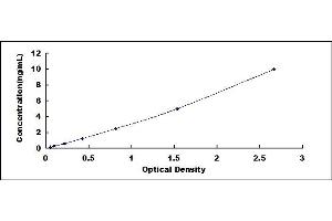 Typical standard curve (S100 Protein (S100) ELISA 试剂盒)