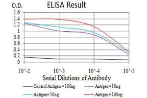 Black line: Control Antigen (100 ng),Purple line: Antigen (10 ng), Blue line: Antigen (50 ng), Red line:Antigen (100 ng) (HDAC6 抗体  (AA 482-800))
