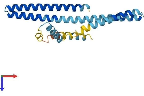 CHMP1A Protein (AA 1-196) (His tag)