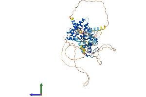 AlphaFold protein structure predicition of Mouse Recombinant Nr1d2 Protein, UniprotID Q60674
