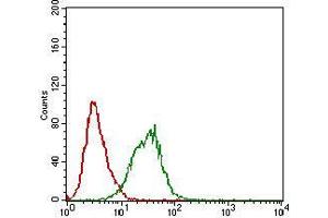 Flow cytometric analysis of A431 cells using DAPK3 mouse mAb (green) and negative control (red). (DAPK3 抗体  (AA 28-161))