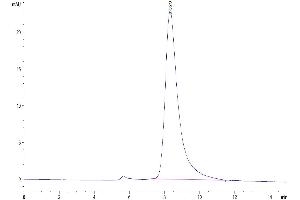 Size-exclusion chromatography-High Pressure Liquid Chromatography (SEC-HPLC) image for Interleukin 3 (IL-3) (AA 20-152) protein (Fc Tag) (ABIN7274945)