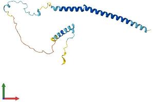 AlphaFold protein structure predicition of Human Recombinant PDAP1 Protein, UniprotID Q13442