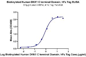Immobilized Human LRP-6, mFc Tag at 5 μg/mL (100 μL/well) on the plate.
