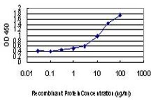 Detection limit for recombinant GST tagged RAPGEF4 is approximately 0. (RAPGEF4 抗体  (AA 1-110))