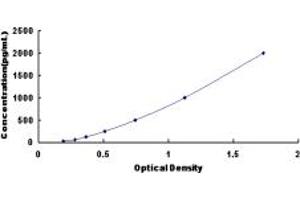 Typical standard curve (OLR1 ELISA 试剂盒)