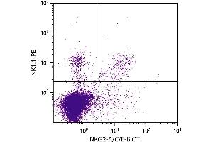 C57BL/6 mouse splenocytes were stained with Rat Anti-Mouse NKG2-A/C/E-BIOT and Mouse Anti-Mouse NK1. (NKG2A/C/E 抗体  (Biotin))