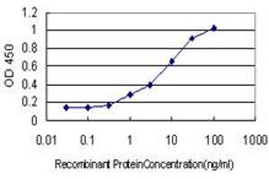 Detection limit for recombinant GST tagged KIFC1 is approximately 1ng/ml as a capture antibody. (KIFC1 抗体  (AA 53-152))