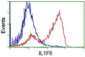 HEK293T cells transfected with either RC219328 overexpress plasmid (Red) or empty vector control plasmid (Blue) were immunostained by anti-IL1F6 antibody (ABIN2453184), and then analyzed by flow cytometry. (IL36A/IL1F6 抗体)