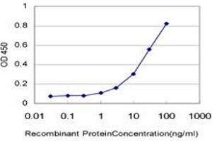 Detection limit for recombinant GST tagged G10 is approximately 1ng/ml as a capture antibody. (BUD31 抗体  (AA 35-144))