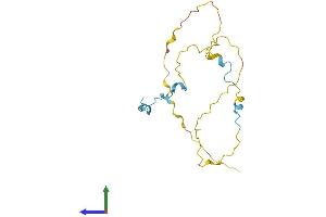 Protein Structure (PS) image for Coordinator of PRMT5, Differentiation Stimulator (COPRS) (AA 1-184) protein (His tag) (ABIN7546629)