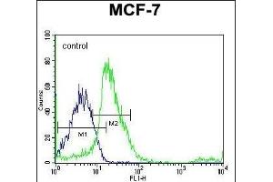 SRC Antibody (N-term) flow cytometric analysis of MCF-7 cells (right histogram) compared to a negative control cell (left histogram). (Src 抗体  (N-Term))