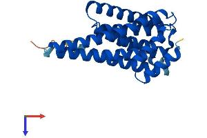 Protein Structure (PS) image for 14-3-3 gamma (YWHAG1) (AA 1-247) protein (His tag) (ABIN7542933)