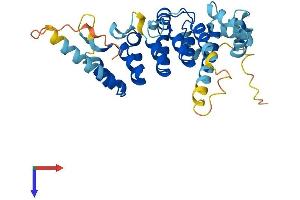AlphaFold protein structure predicition of Mouse Recombinant Ankrd9 Protein, UniprotID Q8BH83 (ANKRD9 Protein (AA 1-326) (His tag))