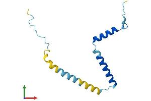 Protein Structure (PS) image for Family with Sequence Similarity 32, Member A (FAM32A) (AA 1-112) protein (His tag) (ABIN7560619)