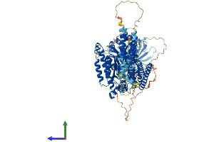 AlphaFold protein structure predicition of Human Recombinant INPP4B Protein, UniprotID O15327