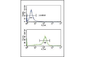 Flow Cytometry (FACS) image for anti-DEAD (Asp-Glu-Ala-Asp) Box Polypeptide 39 (DDX39) (AA 351-380), (C-Term) antibody (ABIN1881102)