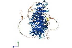 Protein Structure (PS) image for Stromal Antigen 1 (STAG1) (AA 1-1258) protein (His tag) (ABIN7564979)