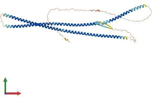 Protein Structure (PS) image for Desmin (DES) (AA 1-470) protein (His tag) (ABIN7547021)