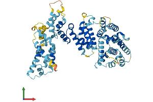 Protein Structure (PS) image for Fanconi Anemia, Complementation Group C (FANCC) (AA 1-558) protein (His tag) (ABIN7547668)