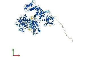 Protein Structure (PS) image for Adrenergic, Beta, Receptor Kinase 1 (ADRBK1) (AA 1-689) protein (His tag) (ABIN7552350)
