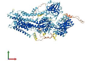 Protein Structure (PS) image for ATPase, Aminophospholipid Transporter, Class I, Type 8B, Member 2 (ATP8B2) (AA 1-1209) protein (His tag) (ABIN7563571)