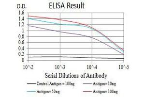 Black line: Control Antigen (100 ng),Purple line: Antigen (10 ng), Blue line: Antigen (50 ng), Red line:Antigen (100 ng) (AQP2 抗体  (AA 149-271))